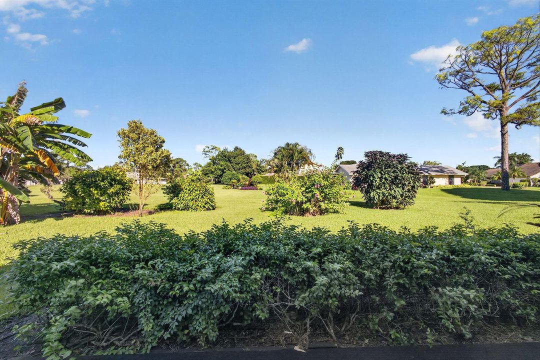 52-web-or-mls-5D1A1695
