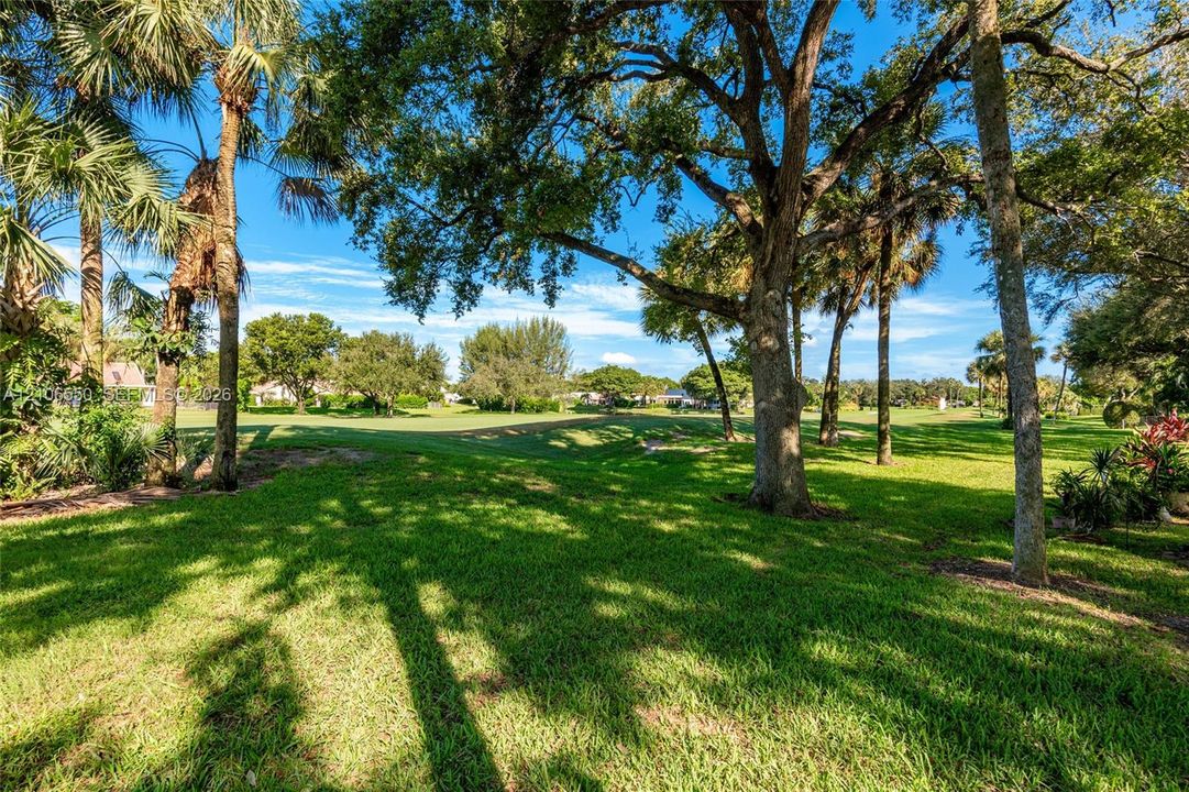 Expansive grounds featuring mature shade trees, established palms, and a manicured lawn
