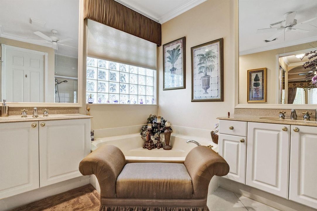 9master bath tub