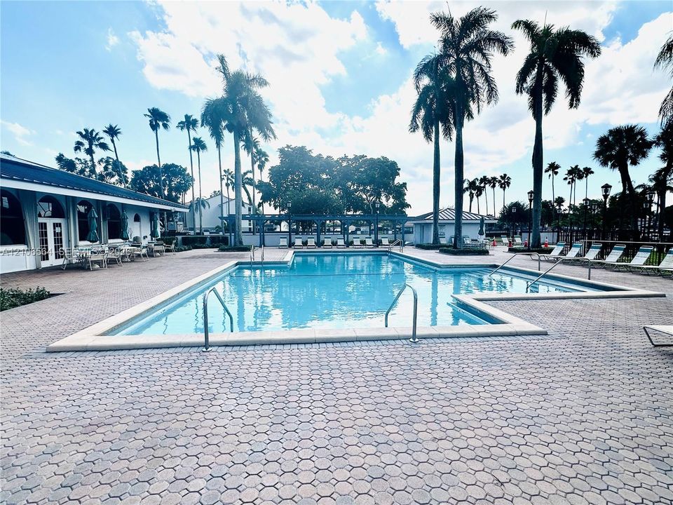 In-ground swimming pool with metal handrails, surrounded by extensive stone paver decking and mature palm trees