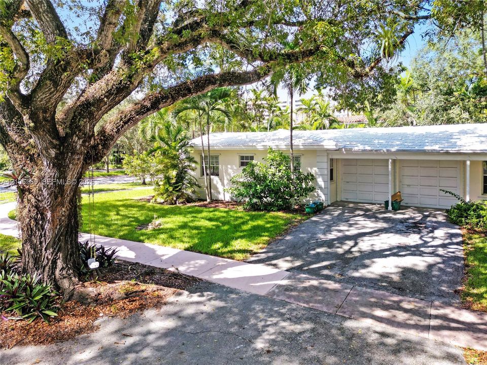 Single-story exterior featuring a two-car garage, concrete driveway, mature oak tree, and lush landscaping
