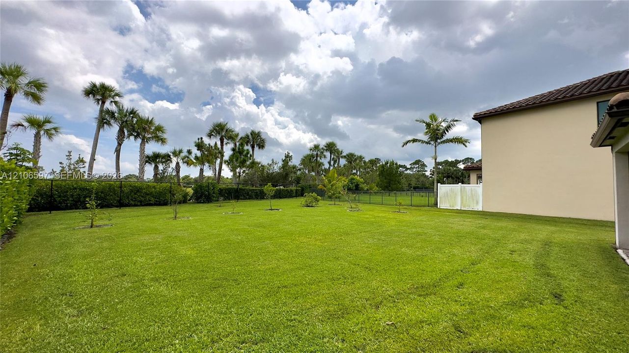 Expansive backyard featuring a manicured lawn, established palm trees, hedge landscaping, and perimeter fencing