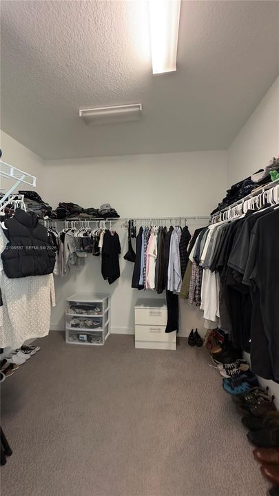 Walk-in closet featuring wall-to-wall carpeting and tiered wire shelving