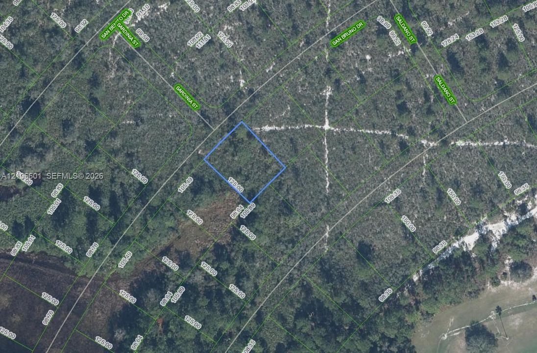 Plat Map. Illustrating the boundaries and dimensions of the property