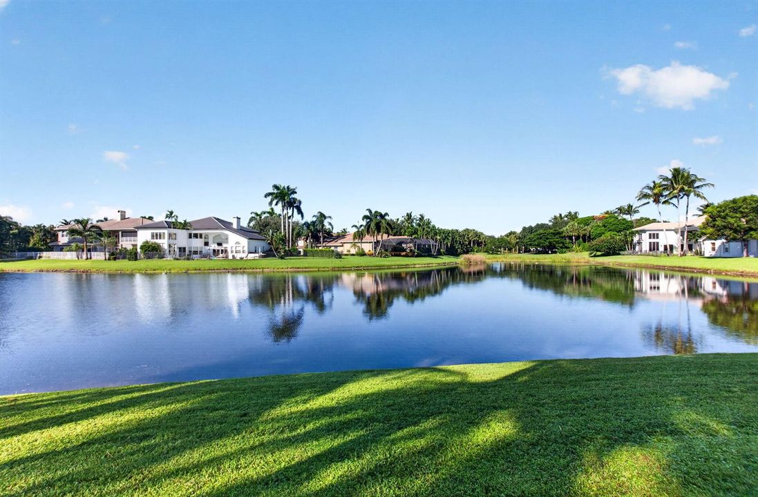 Lake Views