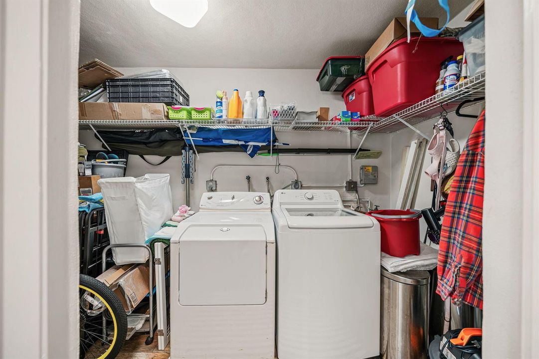 18-web-or-mls-DSC03206