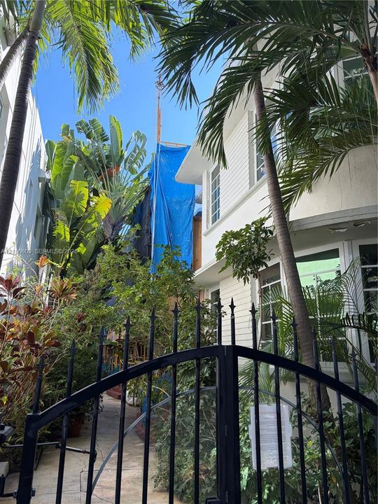 Exterior featuring white horizontal siding, multi-pane windows, and black metal perimeter fencing accented by mature palm trees and lush landscaping