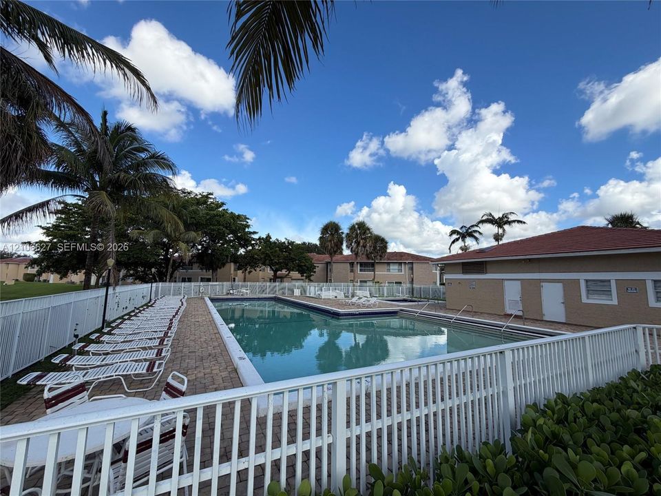 Swimming pool featuring a paver deck, white perimeter fencing, and mature palm trees