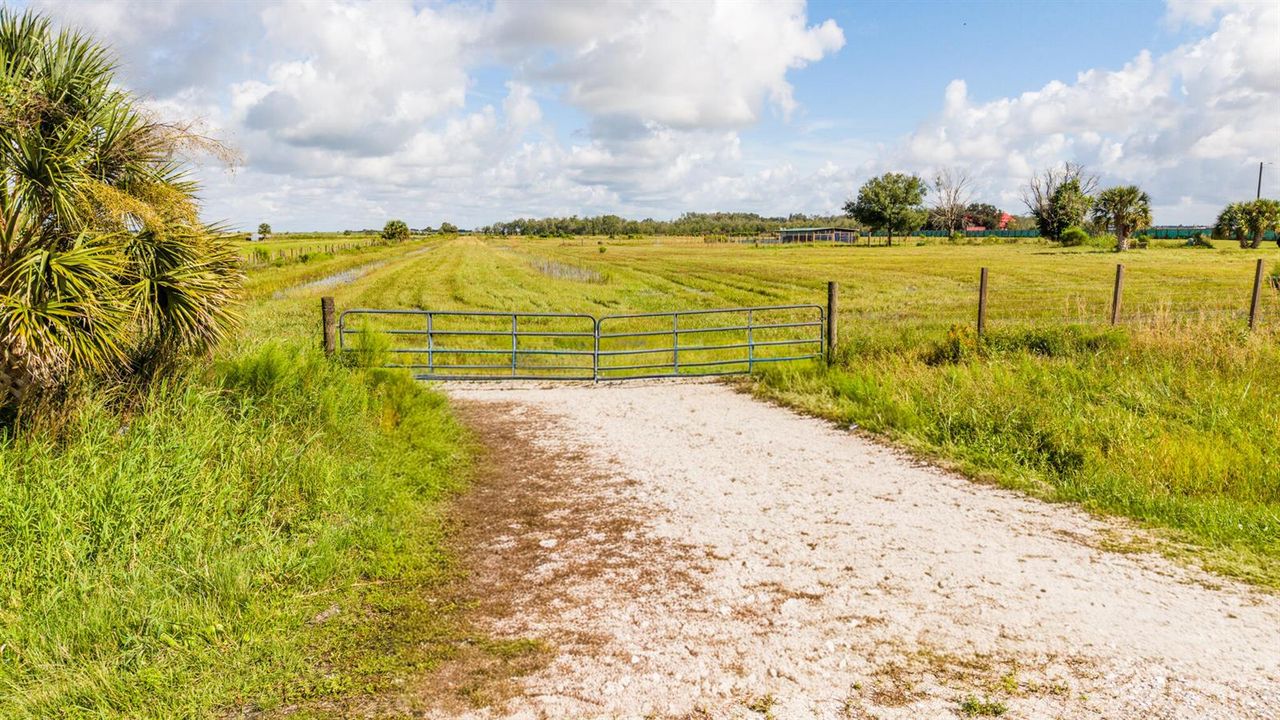 Vieira Property-5