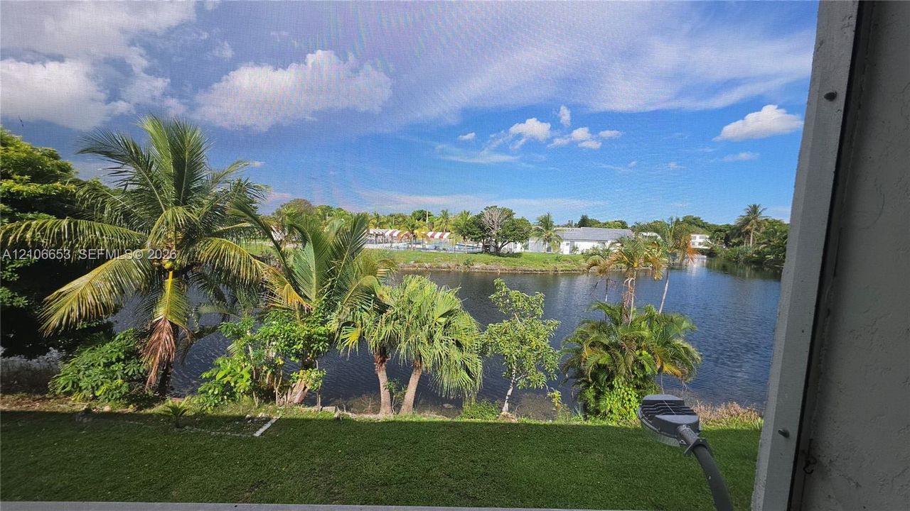 Waterfront lot featuring a manicured lawn, palm trees, and native vegetation along the shoreline