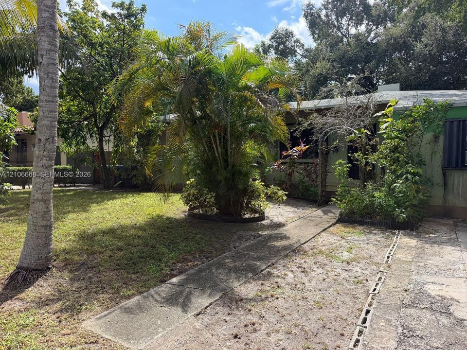 Exterior grounds featuring a concrete walkway, mature palm trees, established landscaping, and an expansive lawn