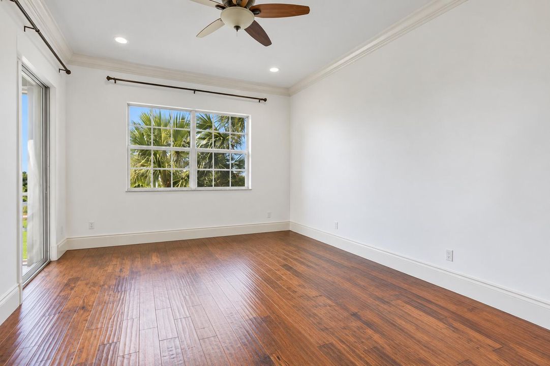 Bright Minimalist Room with Palm Views