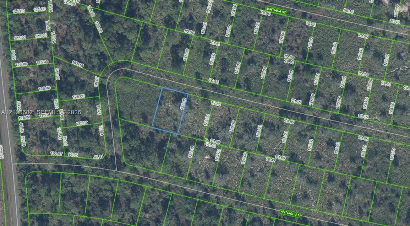 Parcel Map. Surveyed boundary lines identifying the property dimensions and geographical positioning