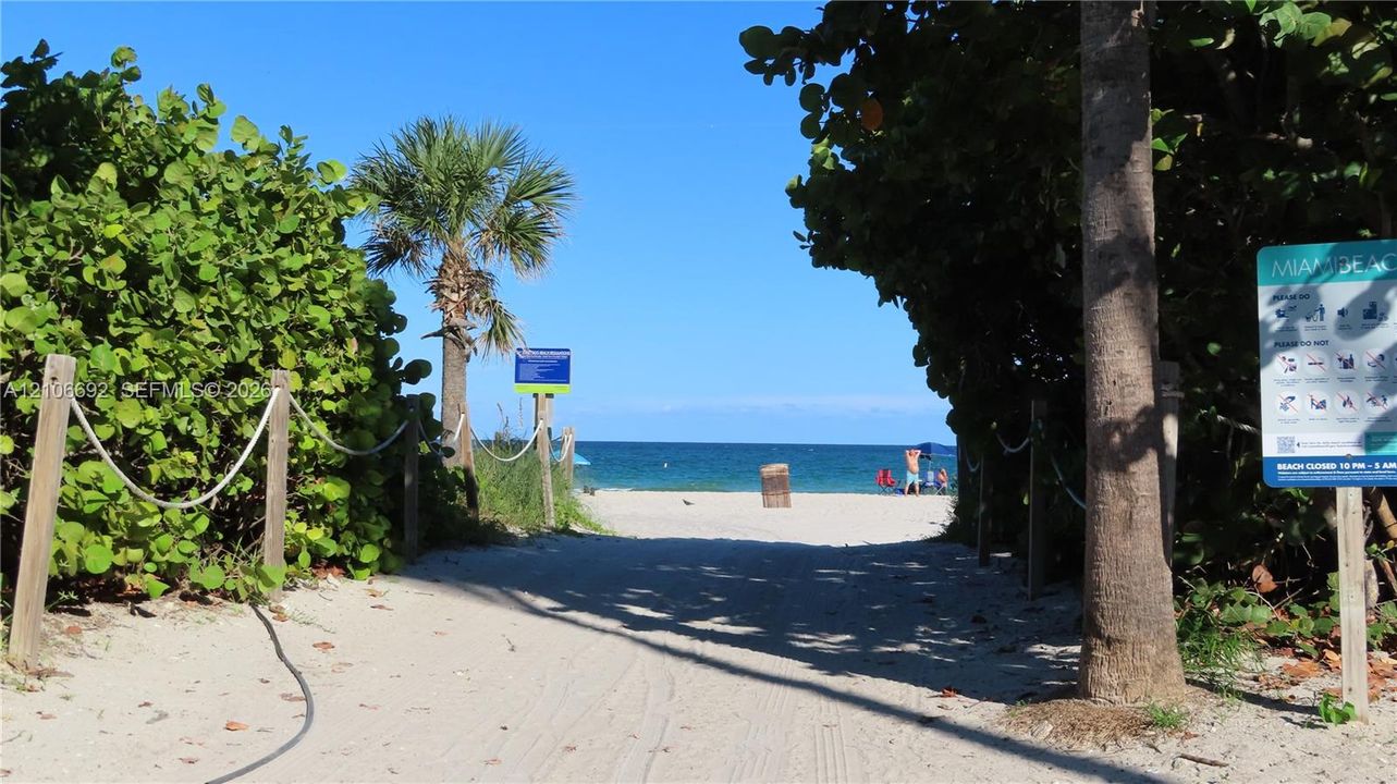 Sandy beach path lined with native vegetation and wooden bollard posts
