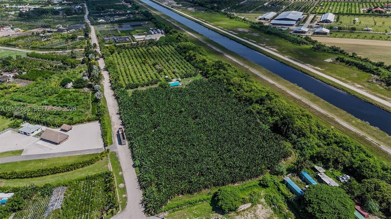 Aerial perspective featuring expansive agricultural acreage with mature crop rows, unpaved road frontage, and canal-side positioning