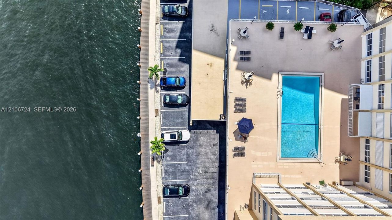 Waterfront property featuring a rectangular swimming pool, concrete pool deck, and on-site parking area