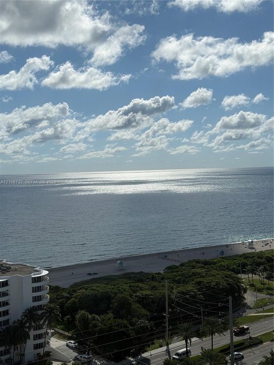 High-rise balcony perspective featuring expansive ocean scenery, a stretch of sandy shoreline, and coastal vegetation
