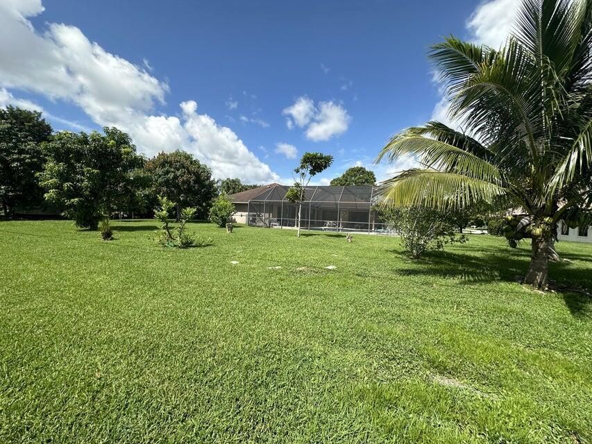 1420 rear yard2