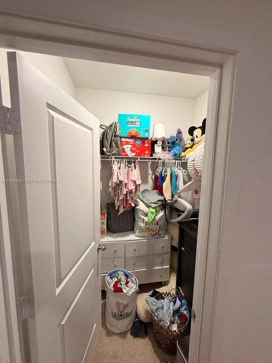 Reach-in closet featuring a single-tier wire shelving system and neutral carpeting