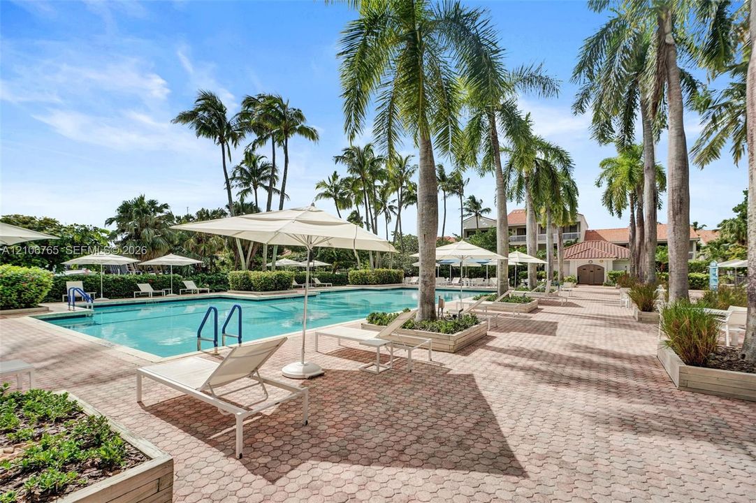 Second pool, palm trees,  raised landscape planters.