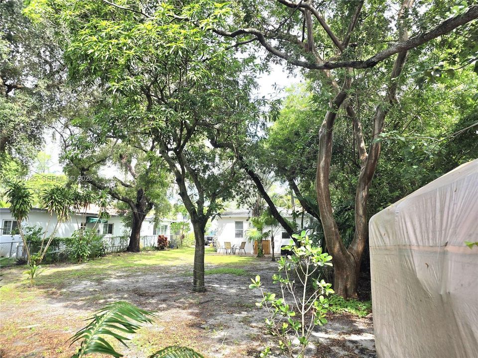 Expansive backyard featuring mature hardwood trees, natural landscaping, and residential structures with white exterior finishes