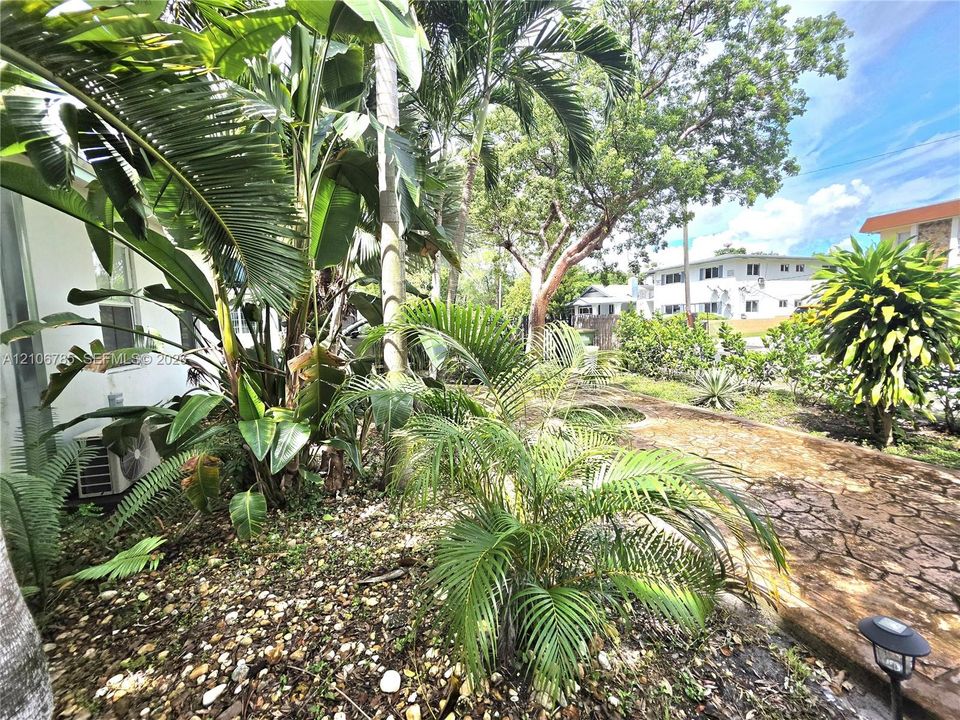 Landscaped grounds featuring established palm trees, assorted tropical vegetation, stone-textured hardscaping, and integrated landscape lighting