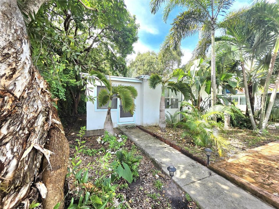 Exterior facade featuring smooth white stucco siding, concrete walkway, mature palm trees, and natural landscaping