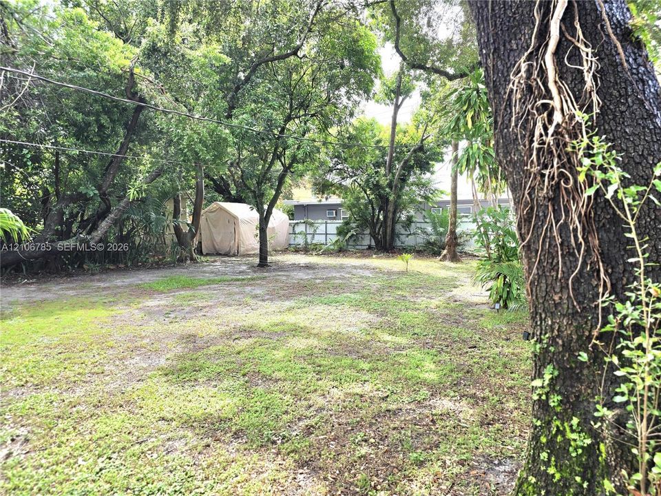 Expansive backyard featuring mature trees, natural landscape, and perimeter fencing