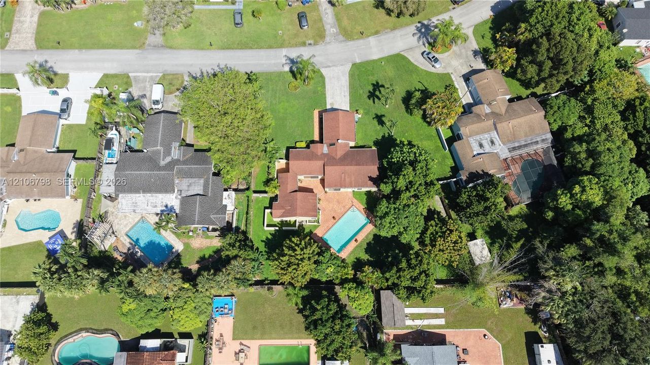Aerial view featuring a multi-gabled residence with a terracotta-toned shingle roof, a rectangular inground swimming pool, paved patio area, and mature landscaping on a corner lot