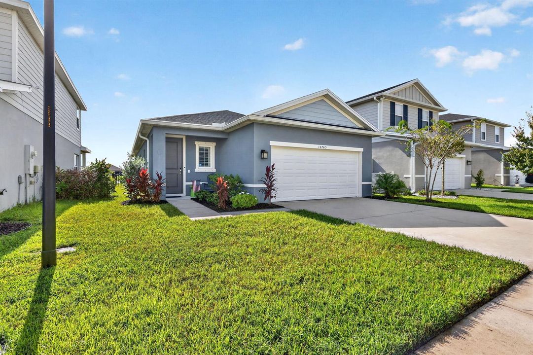 2-web-or-mls-5P1A8175