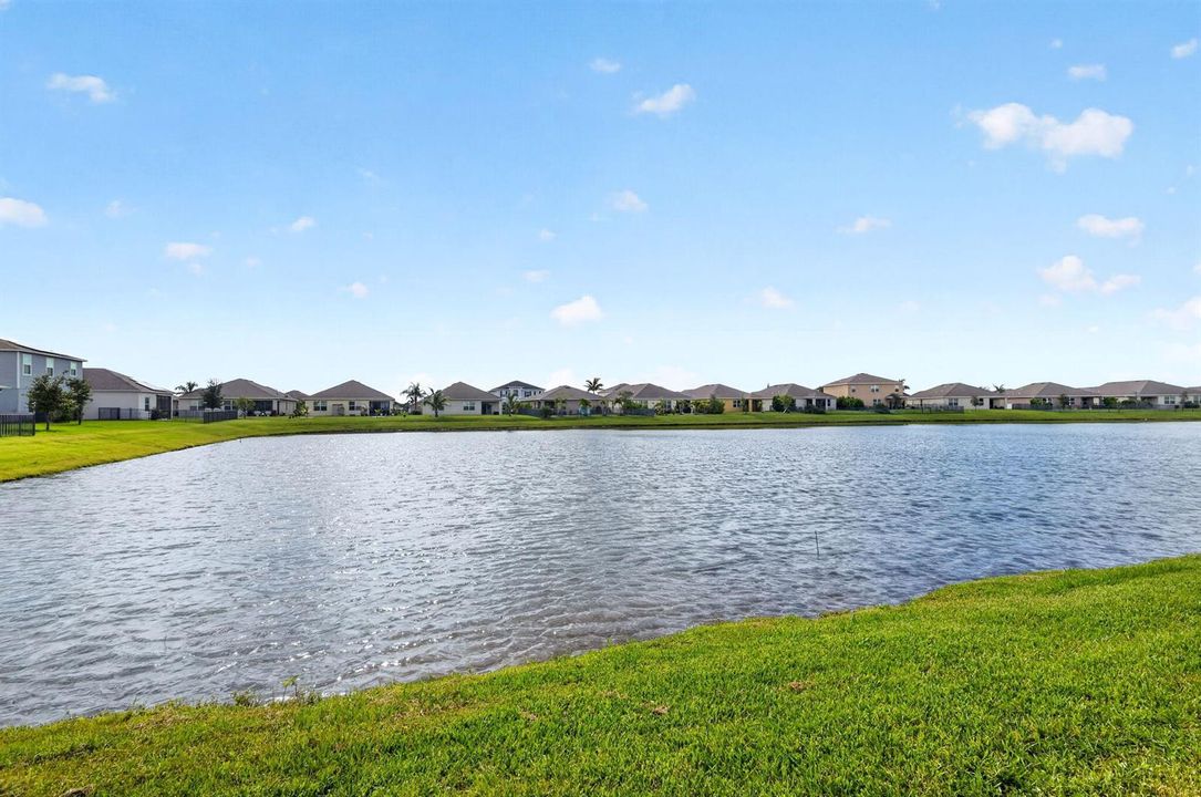 35-web-or-mls-5P1A8388