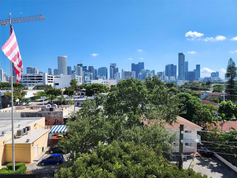 Elevated urban perspective featuring a skyline backdrop and mature landscape canopy