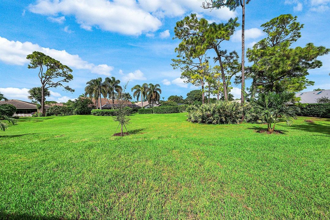 Rear Property