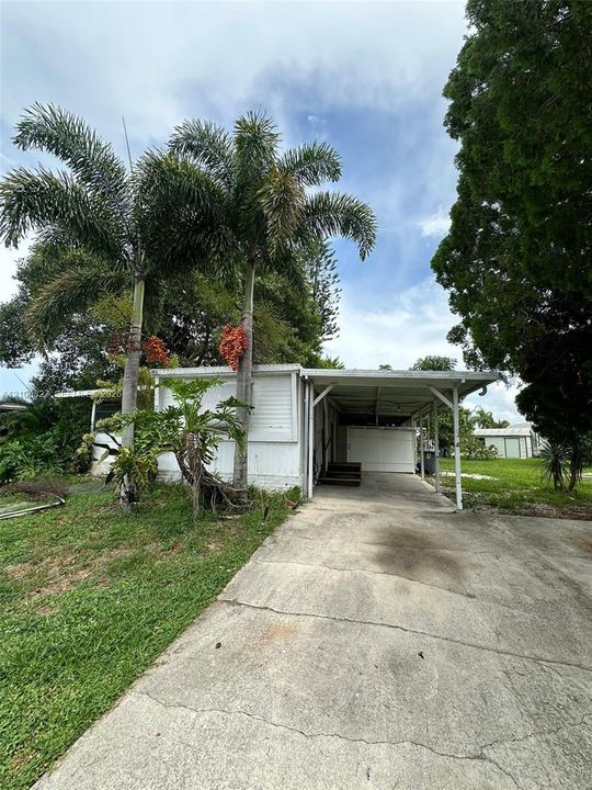 Concrete driveway leading to a covered parking structure, exterior siding, and mature palm trees
