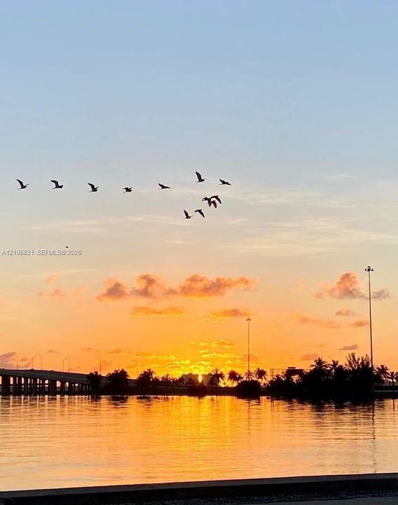 Waterfront location featuring expansive water expanse, bridge silhouette, and sunset horizon