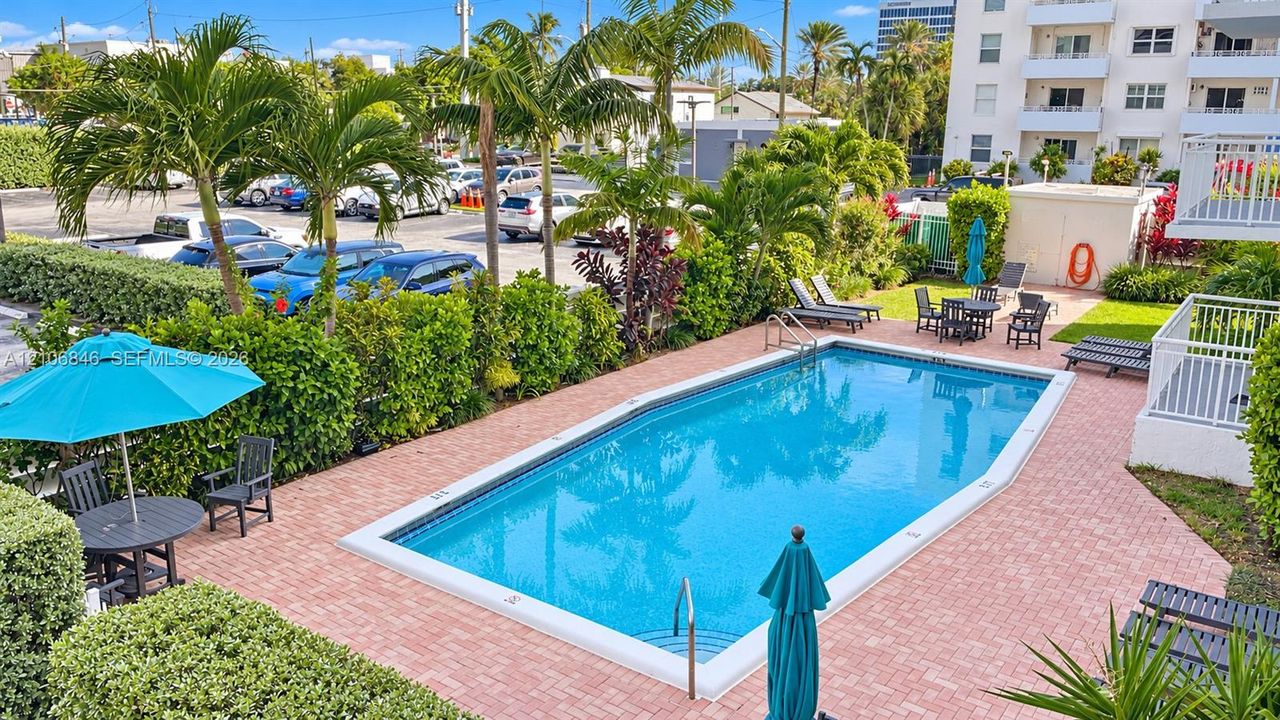 Rectangular swimming pool featuring a brick-paver deck, integrated entry steps, and metal handrails, bordered by mature palm trees and manicured privacy hedging