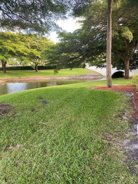 View from patio