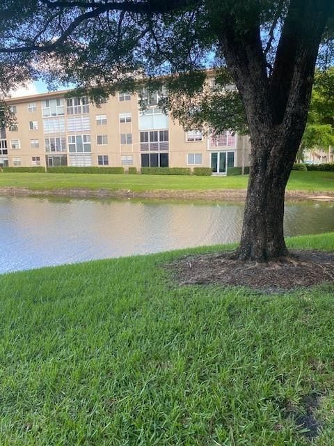 view from patio