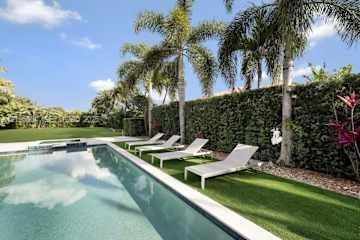 Rectangular swimming pool featuring stone paver decking, established palm trees, and a high perimeter hedge