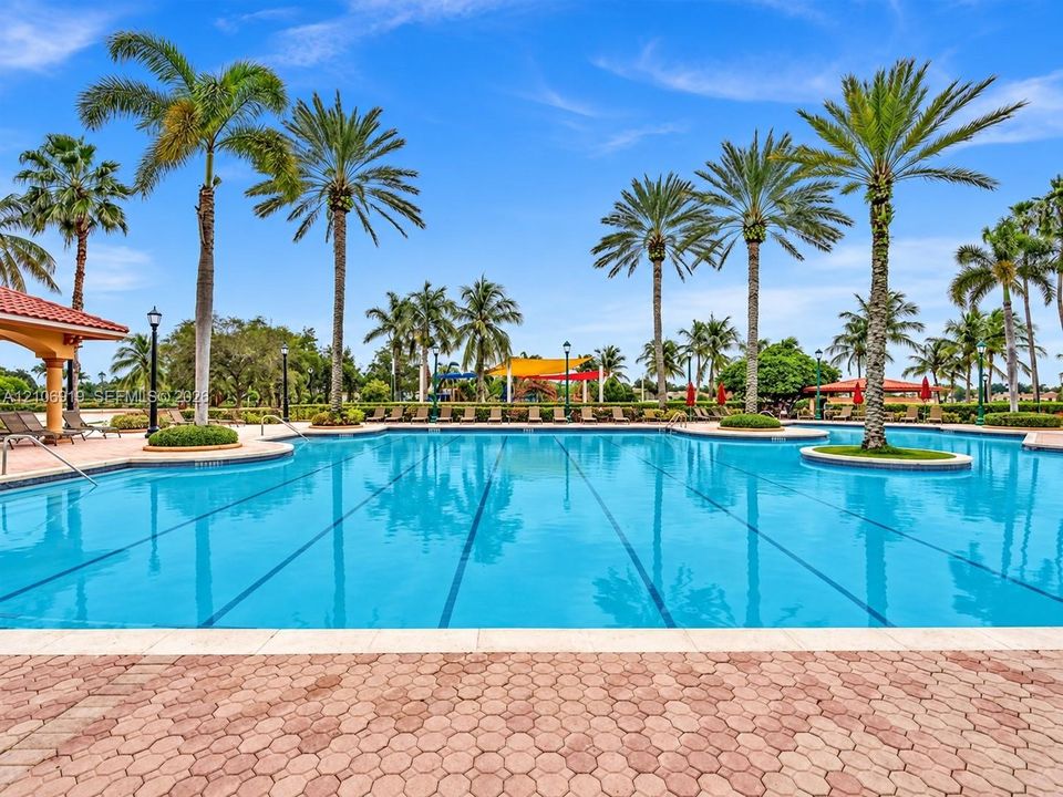 Lapped swimming pool featuring stone-paver decking, perimeter landscaping with mature palms, and structured shade coverings