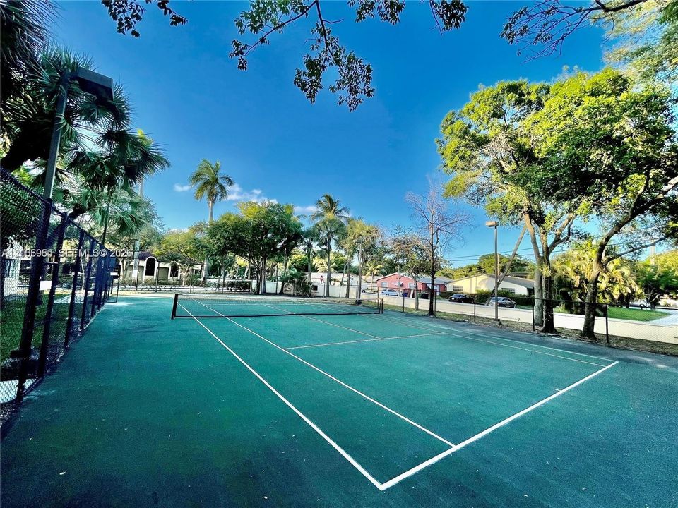 Tennis court with chain-link fencing, painted surface, and surrounding mature trees