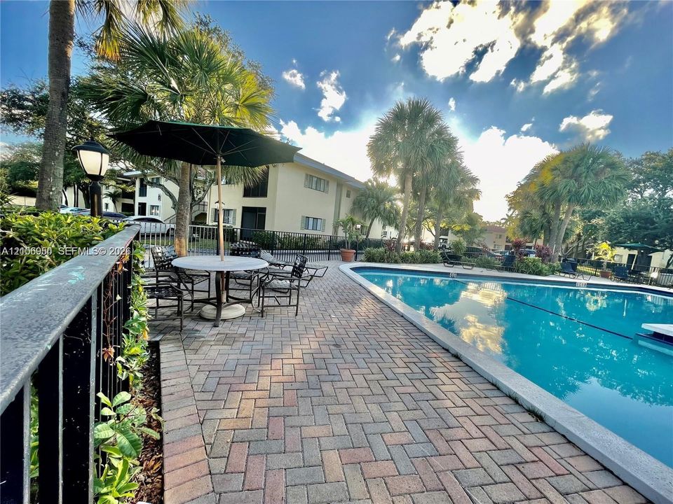Swimming pool featuring a paved brick deck, metal perimeter fencing, and mature palm trees