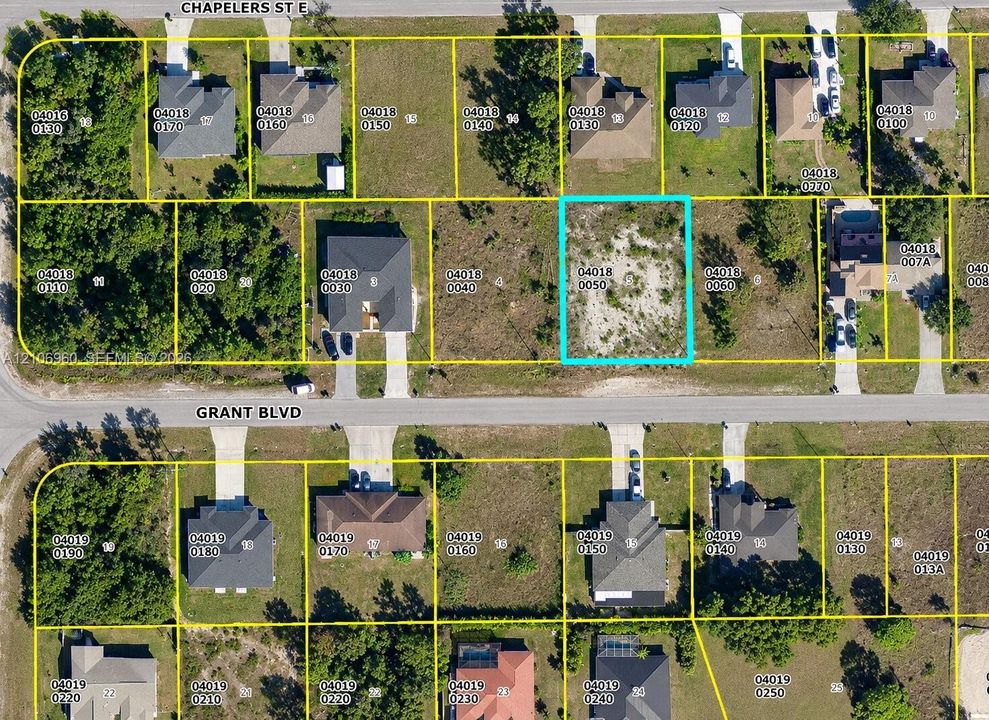 Tax Map, Parcel Overview. Depicting the specific property boundaries and lot designations within the subdivision
