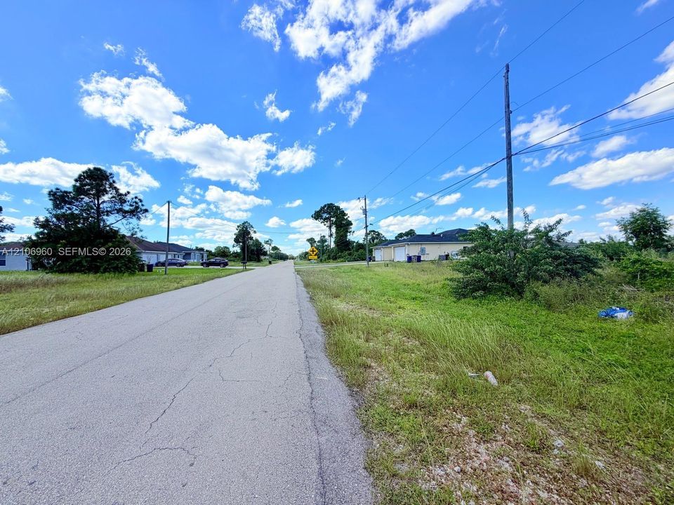 Paved roadway bordered by undeveloped grassy terrain and established vegetation