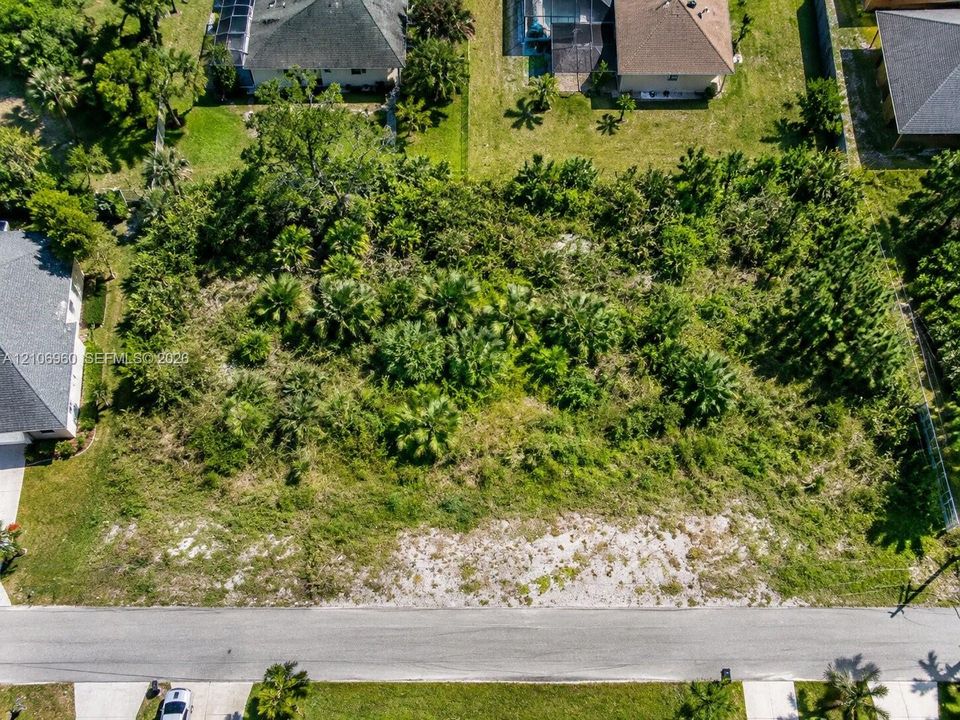 Vacant residential lot featuring established vegetation, native palm trees, and street frontage