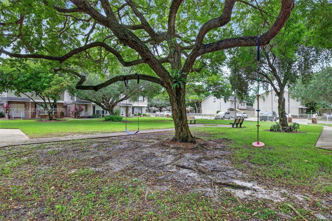 Common grounds featuring expansive green space, mature canopy trees, concrete walkways, and fixed park benches