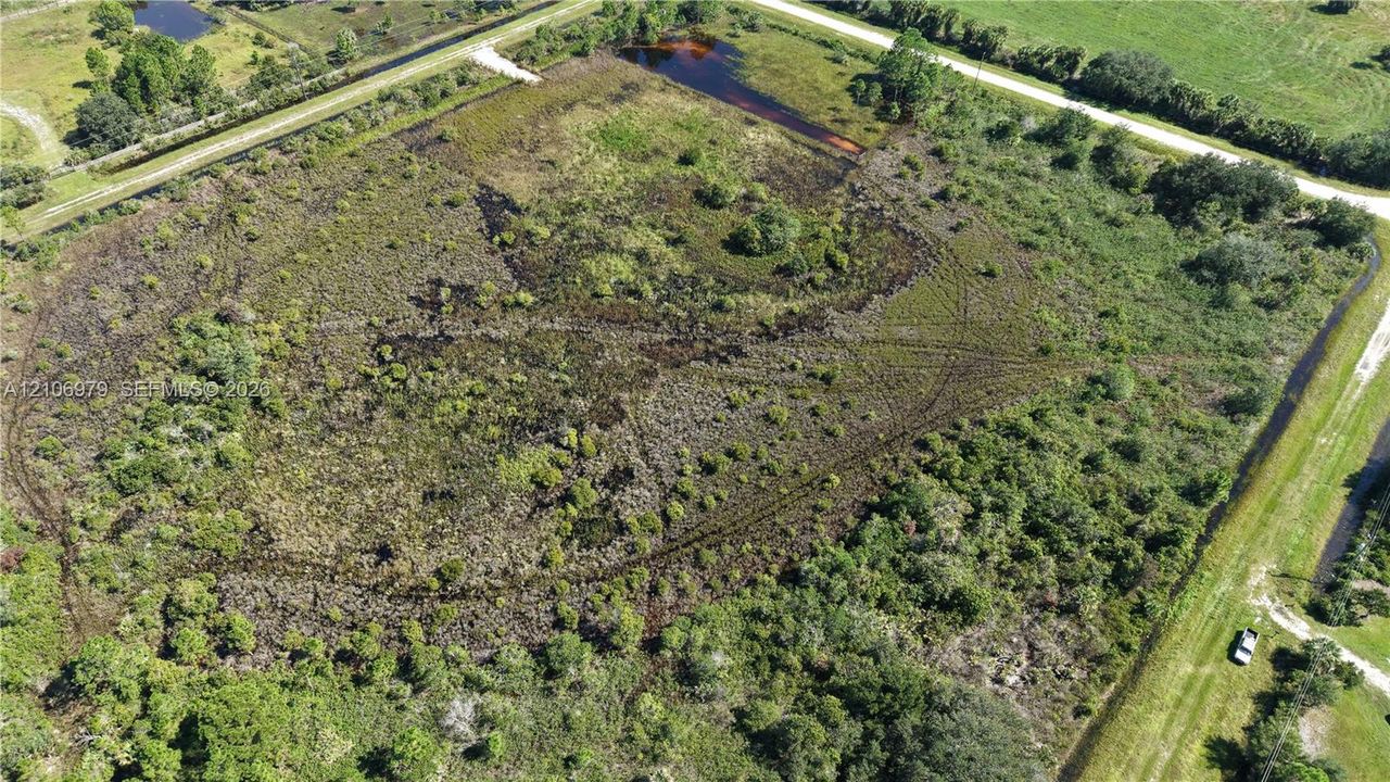Expansive acreage featuring natural vegetation, native trees, and a pond