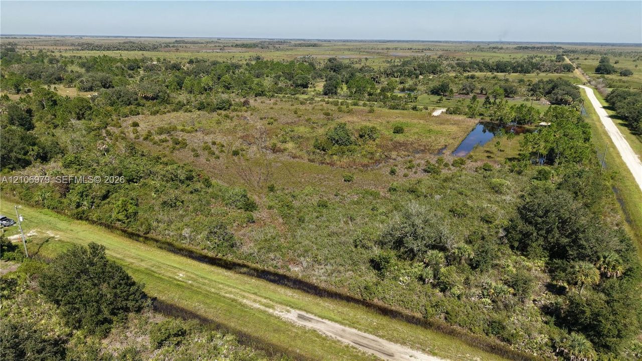 Expansive acreage featuring native vegetation, mature trees, and a natural pond