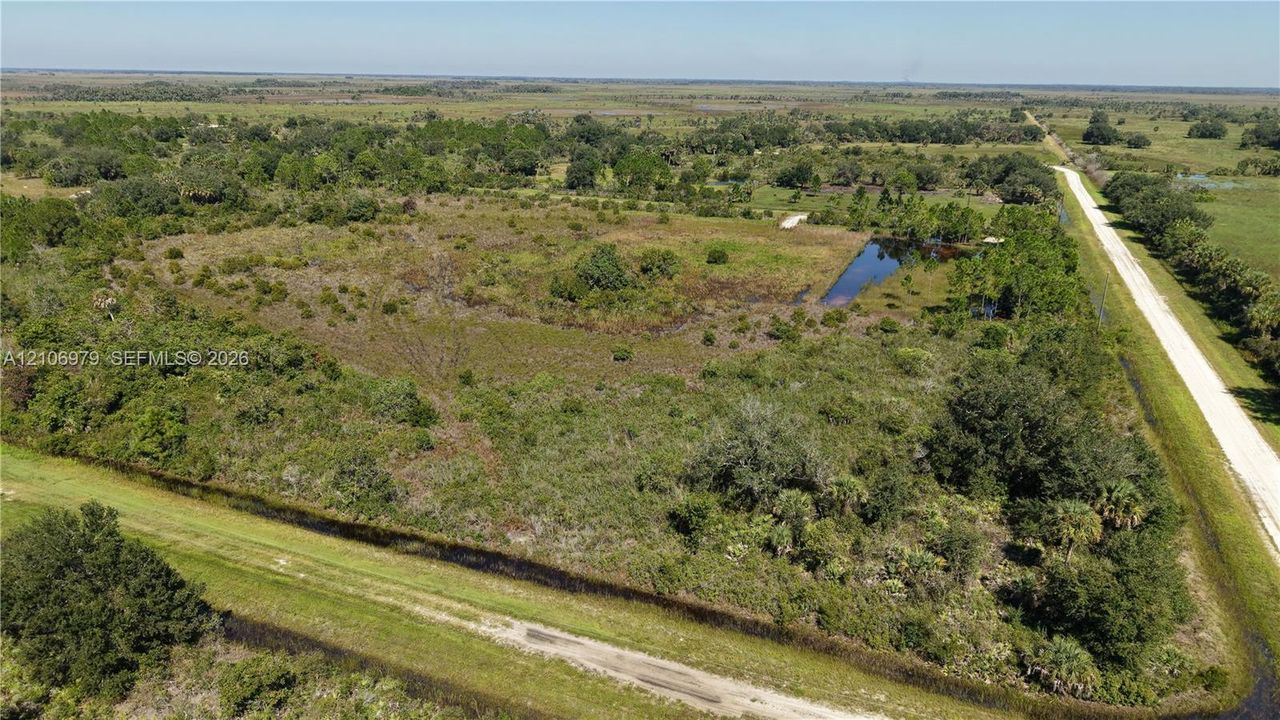 Expansive acreage featuring native vegetation, mature trees, a natural pond, and paved road frontage