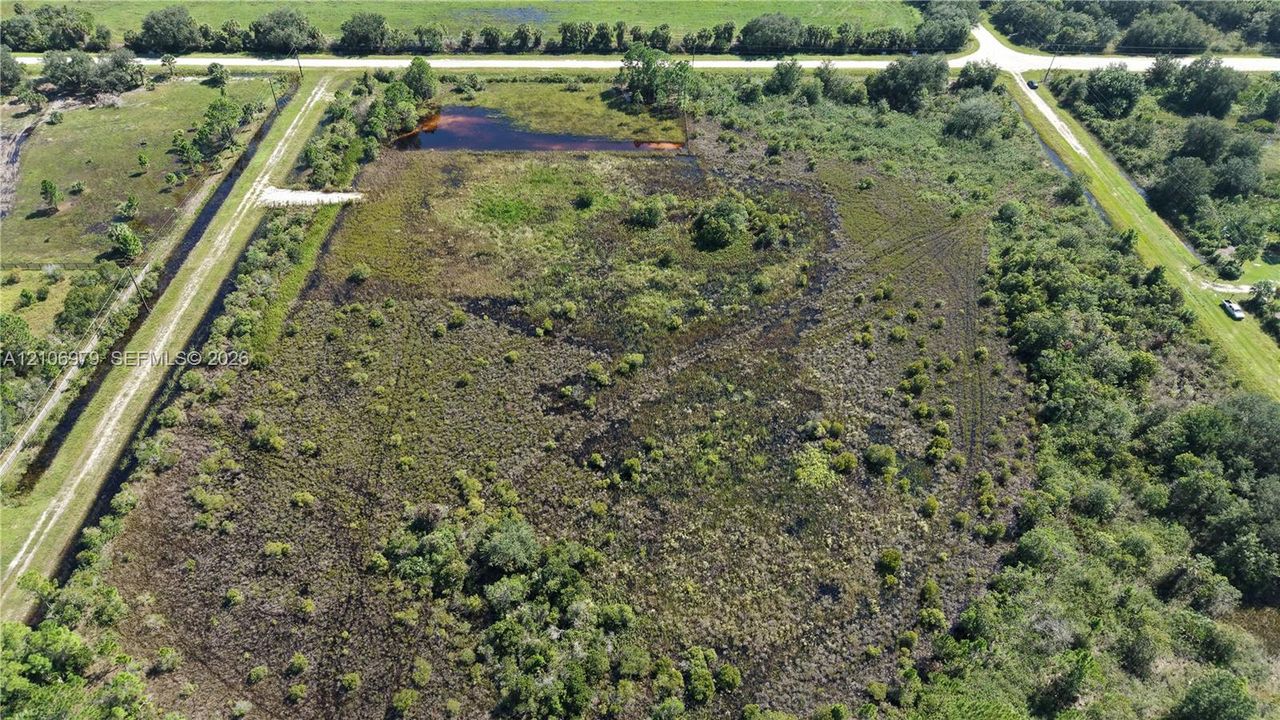Expansive acreage featuring native vegetation, established trees, and a pond
